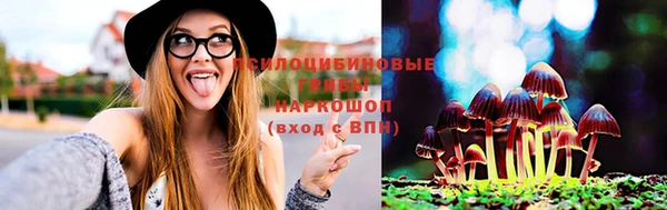 кокаин премиум Белокуриха